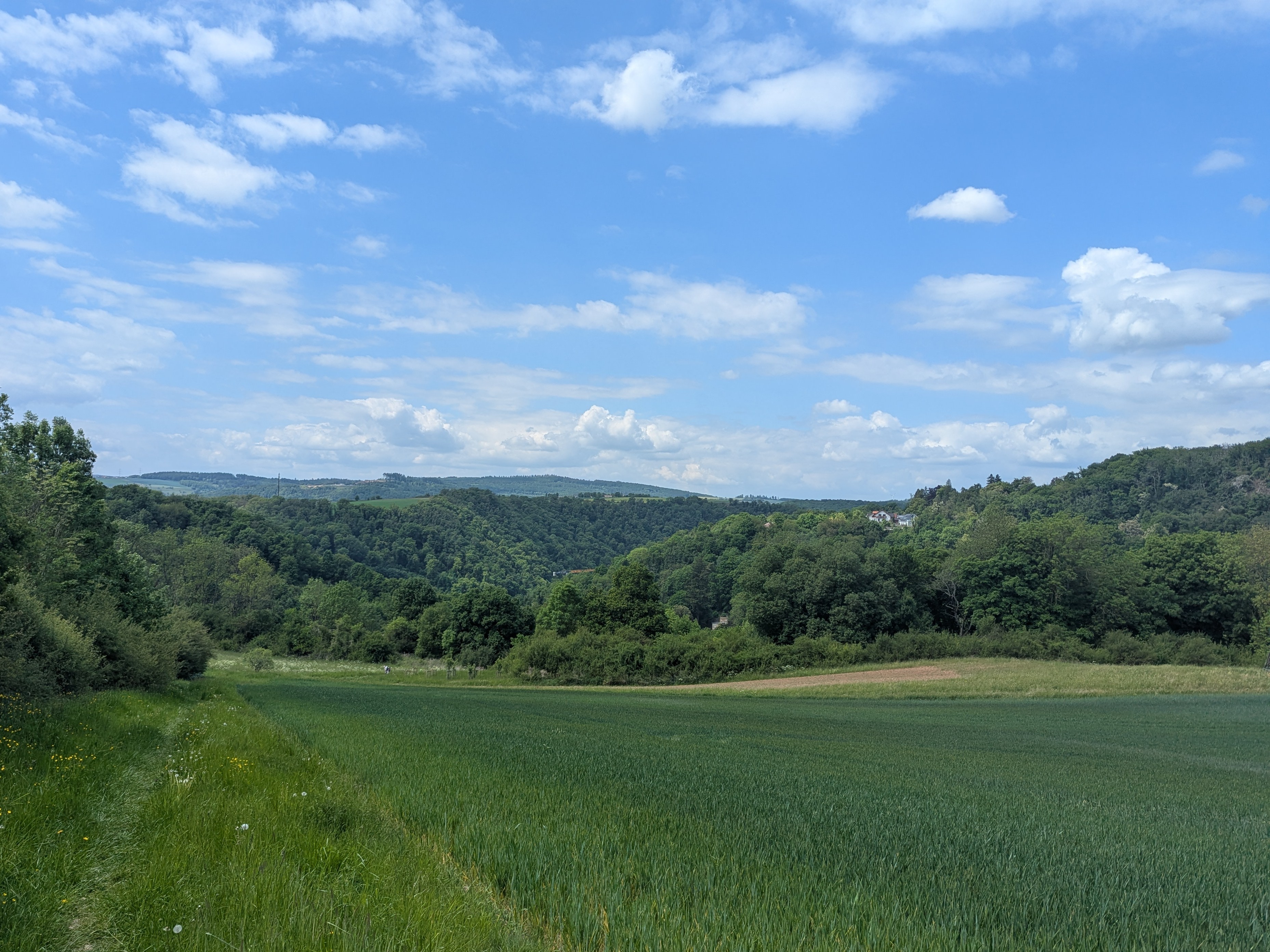 Somerset countryside